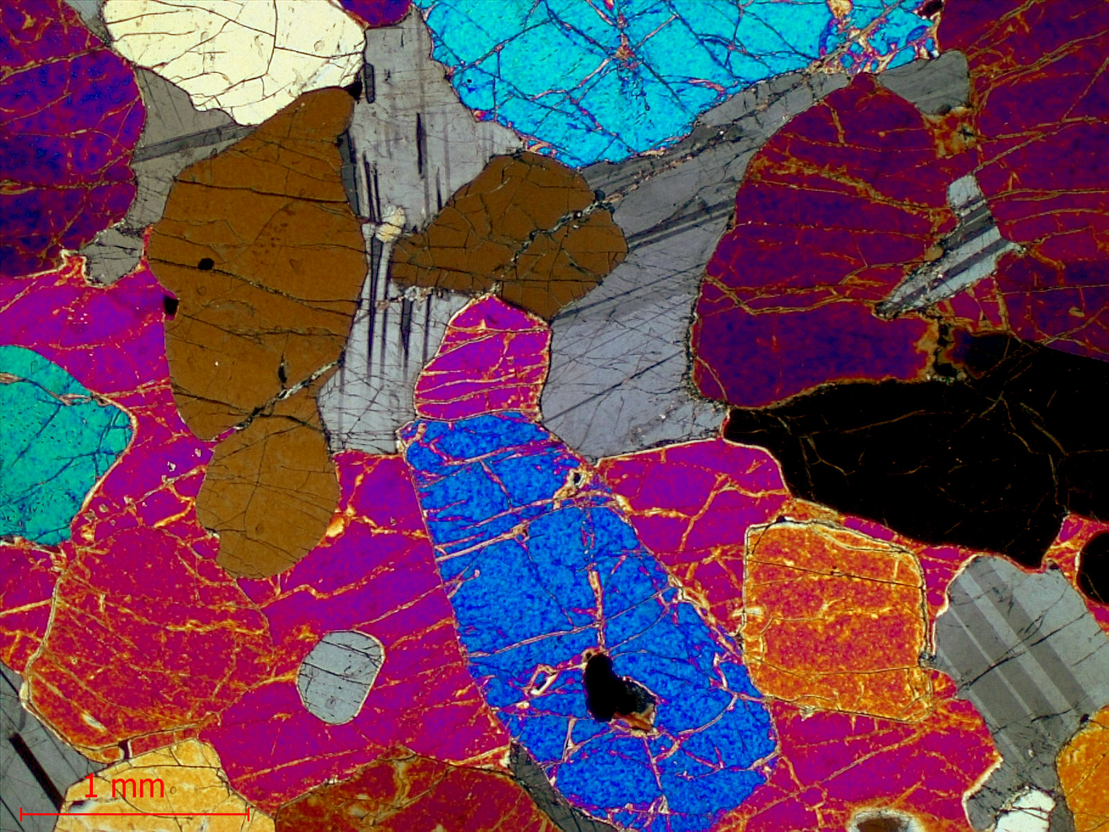 Péridotite à plagioclase Cumulât d’olivine et de plagioclase Province magmatique des Hébrides Rùm  